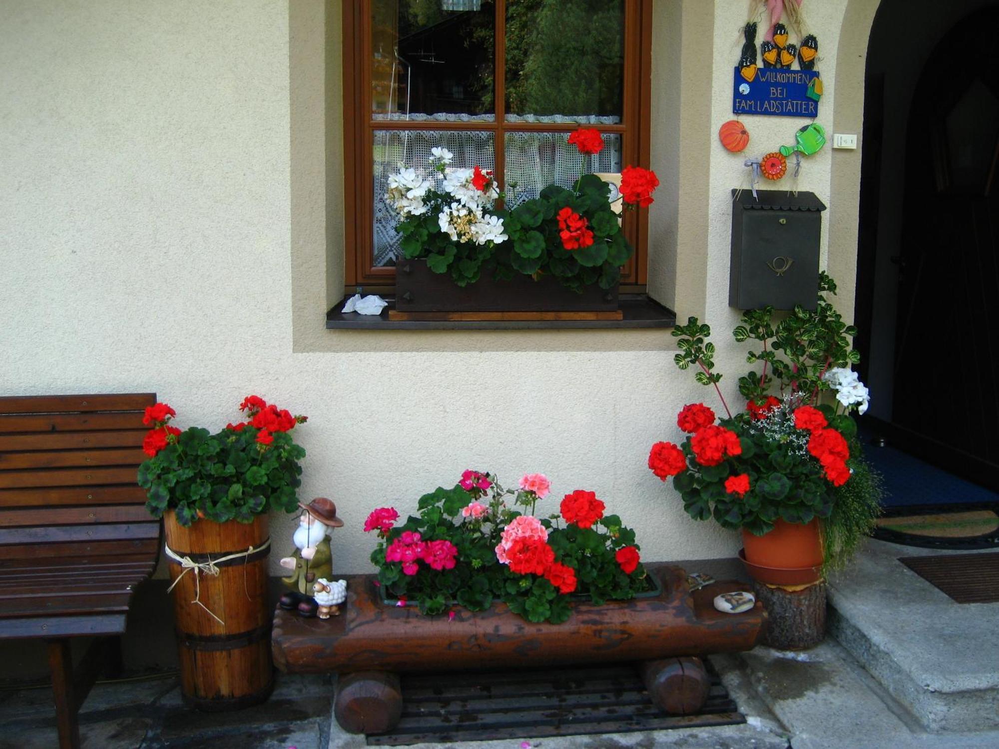 Haus Arnika Apartment Sankt Jakob in Defereggen Exterior foto